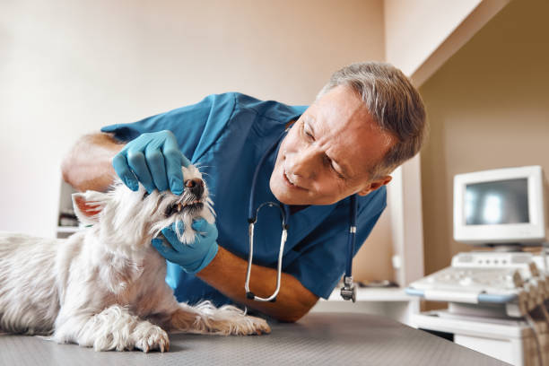 Dentist for Dental Trauma in OH